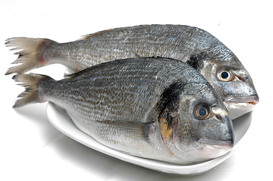 Çupra Balığı Türleri ve Özellikleri